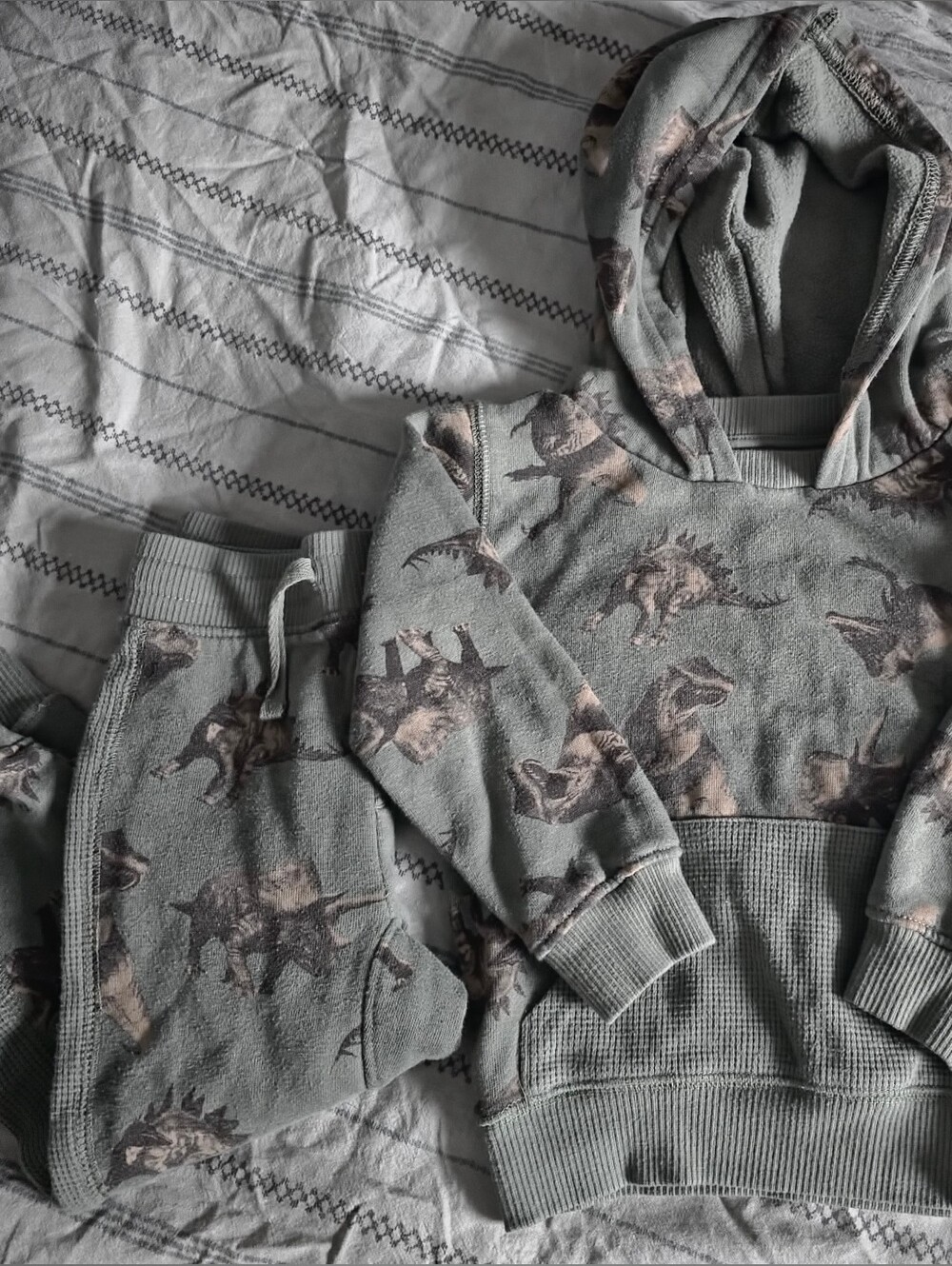 Boys Toodler Sweats Set Sage Green - Dinosaur Print